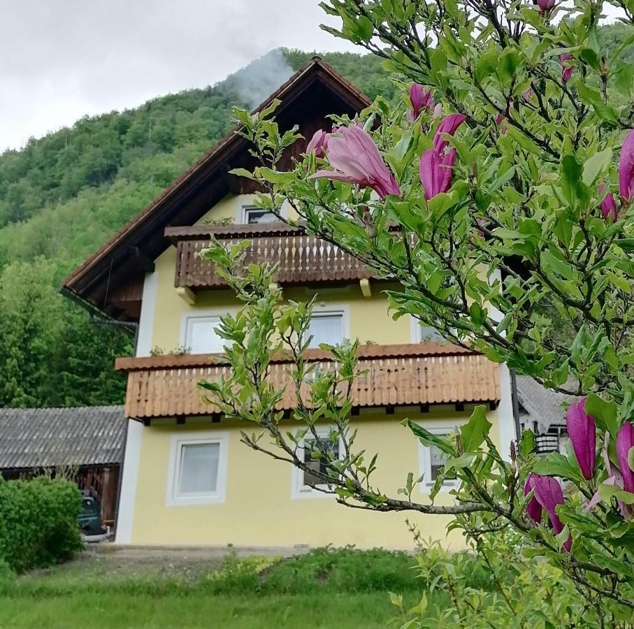 Apartment House Andrej بوينج المظهر الخارجي الصورة
